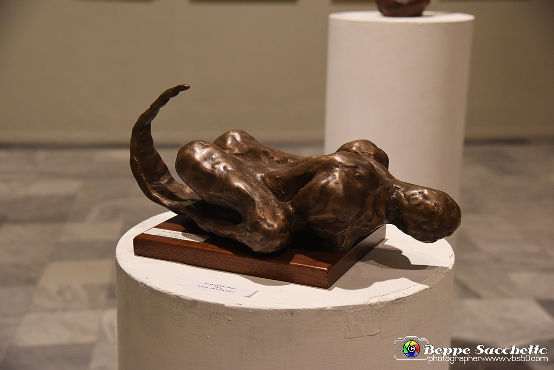 VBS_5781 - 180.ma Esposizione Arti Figurative.jpg